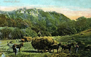 Chudleigh Rocks - Chudleigh, Newton Abbot, Devon, England
