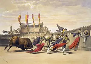 Chulos playing the bull