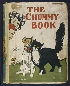 Annuals Gallery: THE CHUMMY BOOK