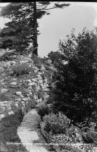 Shrubs Prints: Church House Gardens Pathway