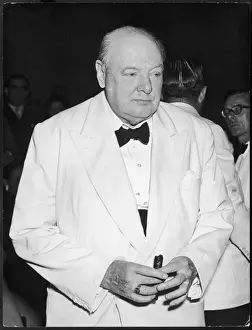 Churchill / Venice 1954