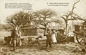 Production Collection: Cider Press - Normandy