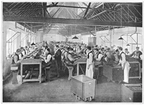 Drugs Prints: Cigar Factory