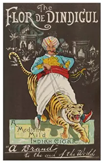 Cigars Label