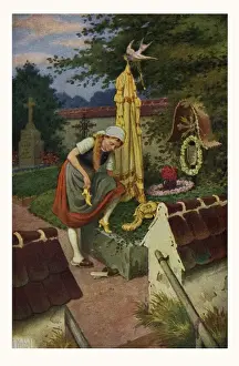 Cinderella