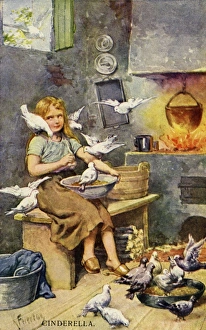 Images Dated 15th July 2011: Cinderella with birds