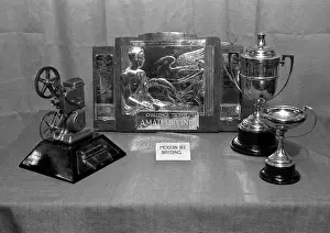 Trophies Prints: Cinematography trophies on display