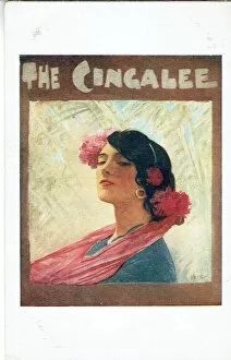 The Cingalee (or Sunny Ceylon) by James Tanner