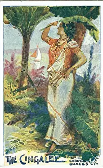 The Cingalee (or Sunny Ceylon) by James Tanner