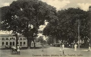 Rickshaw Collection: Cinnamon Gardens, Colombo, Ceylon (Sri Lanka)