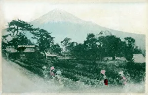 Japan