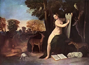 Images Dated 11th December 2017: Circe and Her Lovers in a Landscape by Dossi Dossi