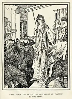 Circe & the Swine