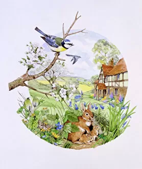 Rabbits Collection: Circular countryside scene