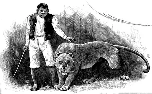 C1888 Prints: Circus animal trainer and his lion, 1888