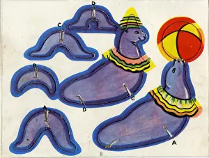 Circus Cut-Out Favourites - Seal