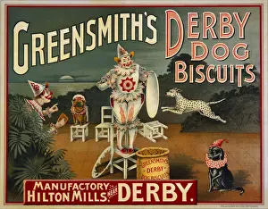 Circus Dogs / Dog Biscuits