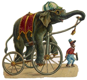 Along Side Collection: Circus Elephant & Monkey