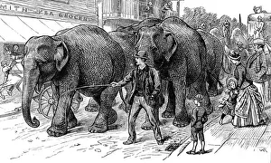 On Lookers Prints: Circus Elephants arriving in an English country town, c. 1886