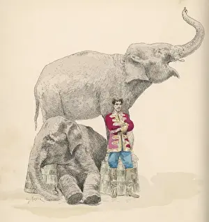 Garnier Prints: Circus Elephants / Garnier