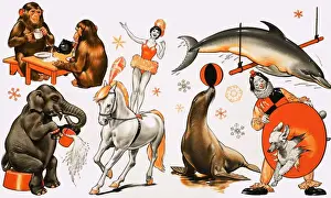 Circus montage