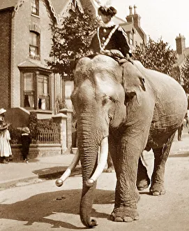 Circus parade in Ramsgate in 1899