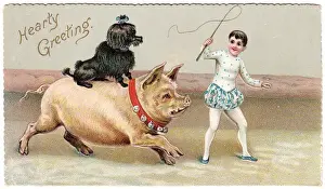 Circus pig and black poodle on a greetings card