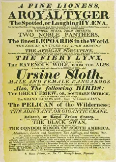 Circus Prints: Circus Poster / Polito s