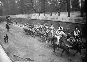 Images Dated 9th March 2015: Circus troupe with camels and elephants
