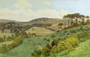 Cissbury Ring, near Worthing, South Downs, Sussex