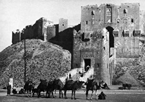 Images Dated 14th September 2011: Citadel of Aleppo