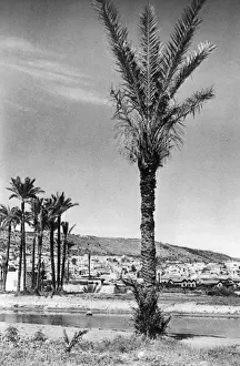 Galilee Prints: City of Haifa and Mount Carmel, Galilee, Northern Israel