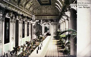 Palms Collection: City Hall, Las Palmas, Gran Canaria, Canary Islands
