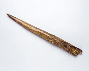 The Clacton Spear The Clacton Spear
