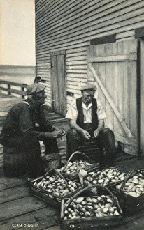 Digging Collection: Clam Diggers sorting and grading their pickings, Boston, USA