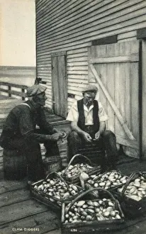 Baskets Prints: Clam Diggers sorting and grading their pickings, Boston, USA