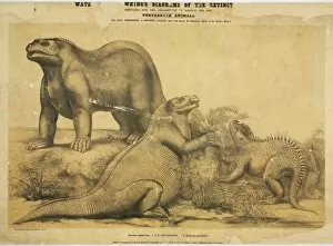 Benjamin Waterhouse Hawkins Collection: Class Reptilia - Dinosauria, or Gigantic Lizards: Iguanadon