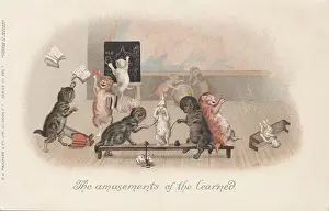 Classroom Prints: Classroom Cats