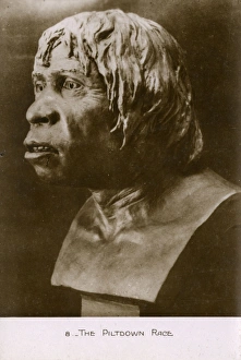 A clay reconstruction of the face of Piltdown Man A clay reconstruction of the face of Piltdown Man