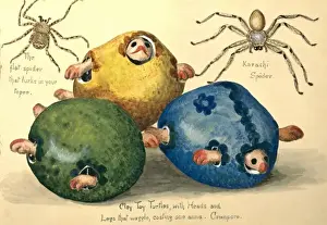 Clay Toy Turtles and spiders