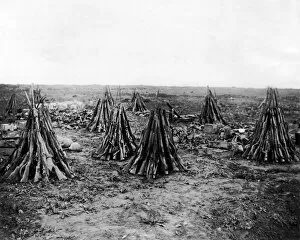 Neat Collection: Clearing up a battlefield after an advance, WW1