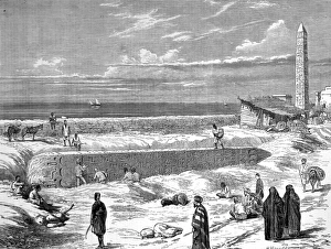 Cleopatras Collection: Cleopatras Needle, Alexandria