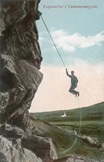 Cliff hunting man in Westman Islands, Iceland