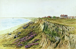 Mauve Collection: Cliffs looking west, Barton on Sea, Hampshire