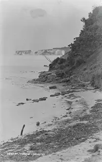 Seaweed Prints: Cliffs at Studland Bay