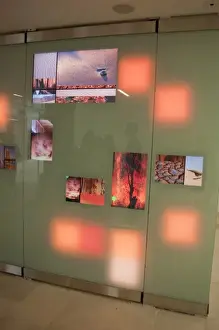 Climate Change Wall