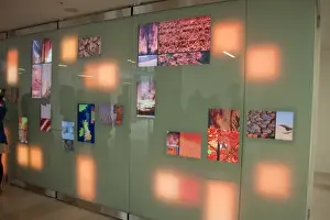 Interactive Prints: Climate Change Wall