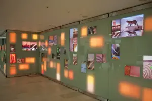 Climate Change Wall