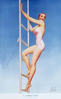 Climbing rose by Merlin Enabnit