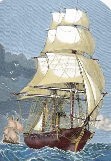 Navigating Prints: Clipper. 19th century. Colored engraving